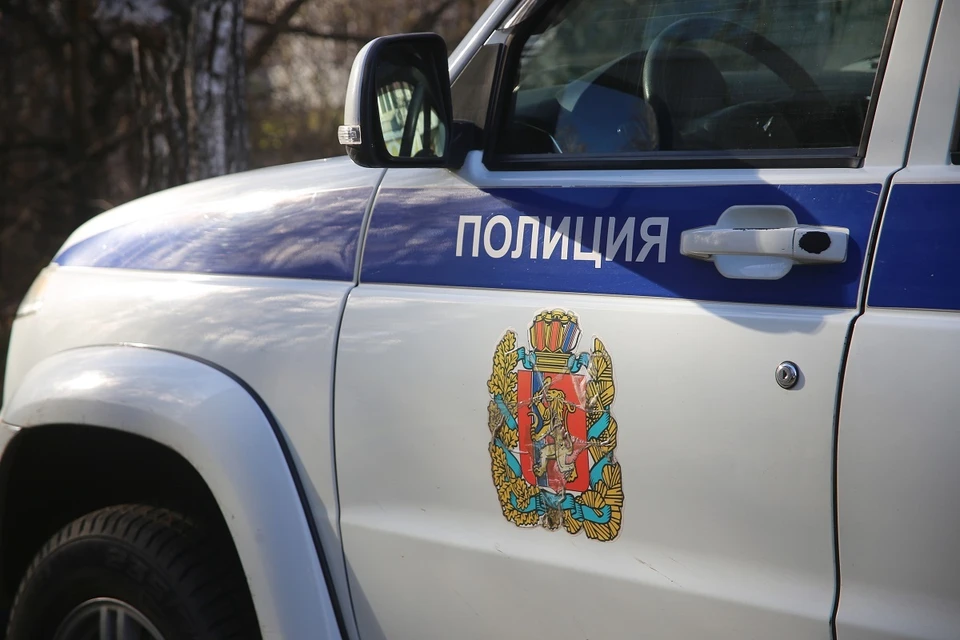 Подросток из Красноярского края ответит перед судом за нападение на полицейского