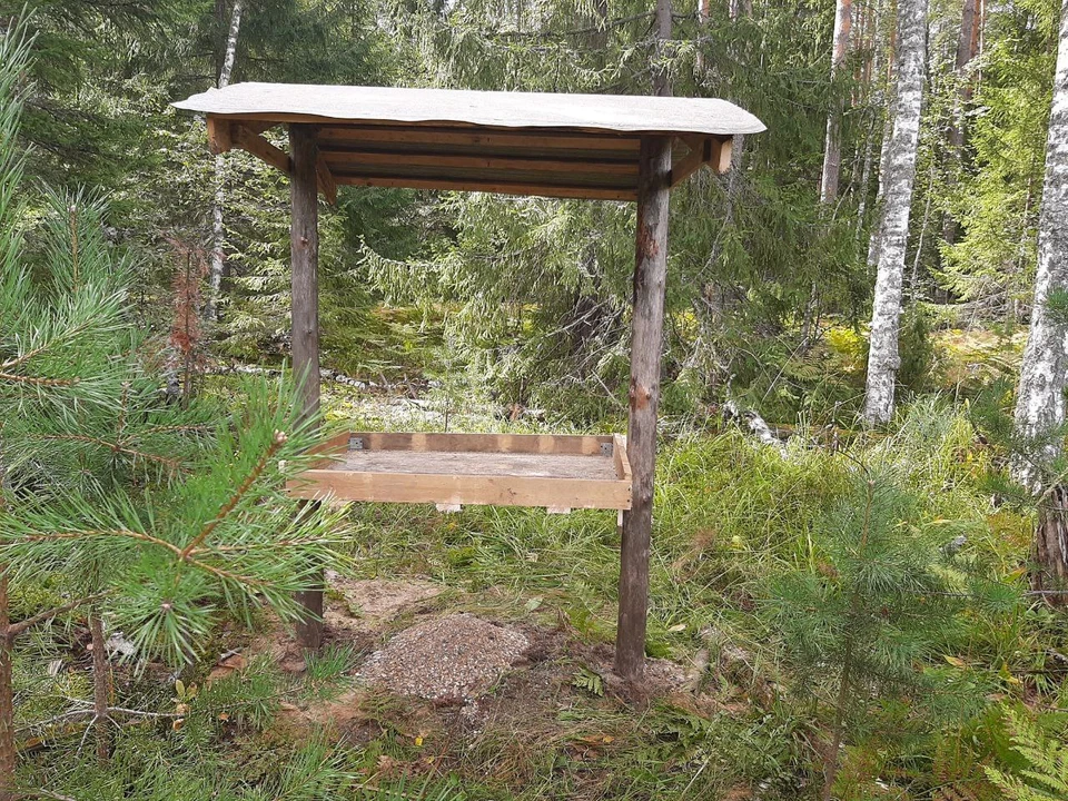 Фото: Минлесхоз Нижегородской области