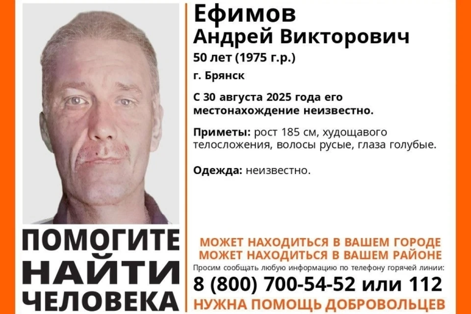 Фото: поисковый отряд "Лиза Алерт".