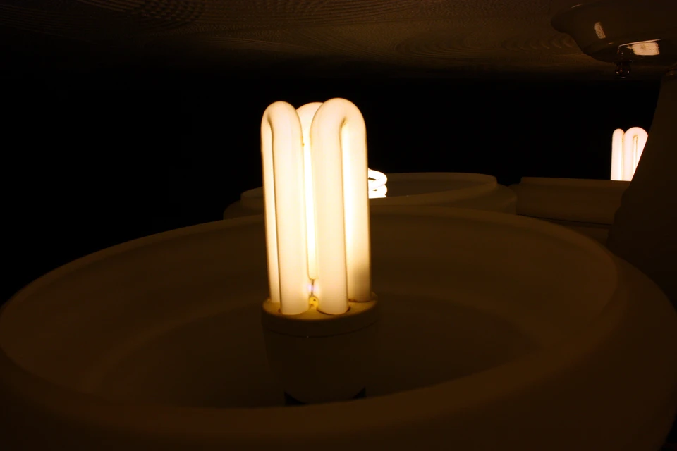 Свет отключат на десятках улиц.