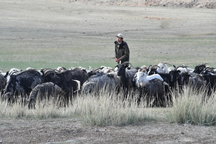 «Купили за 60 000 рублей»: выпускник детдома в поисках работы в Москве был продан в рабство в Дагестане