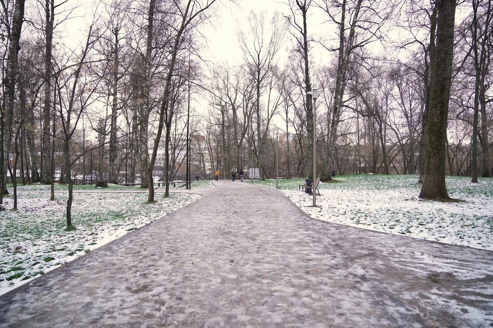 В Березовой роще завершается бетонирование оснований для размещения малых архитектурных форм. Фото: администрация Ижевска