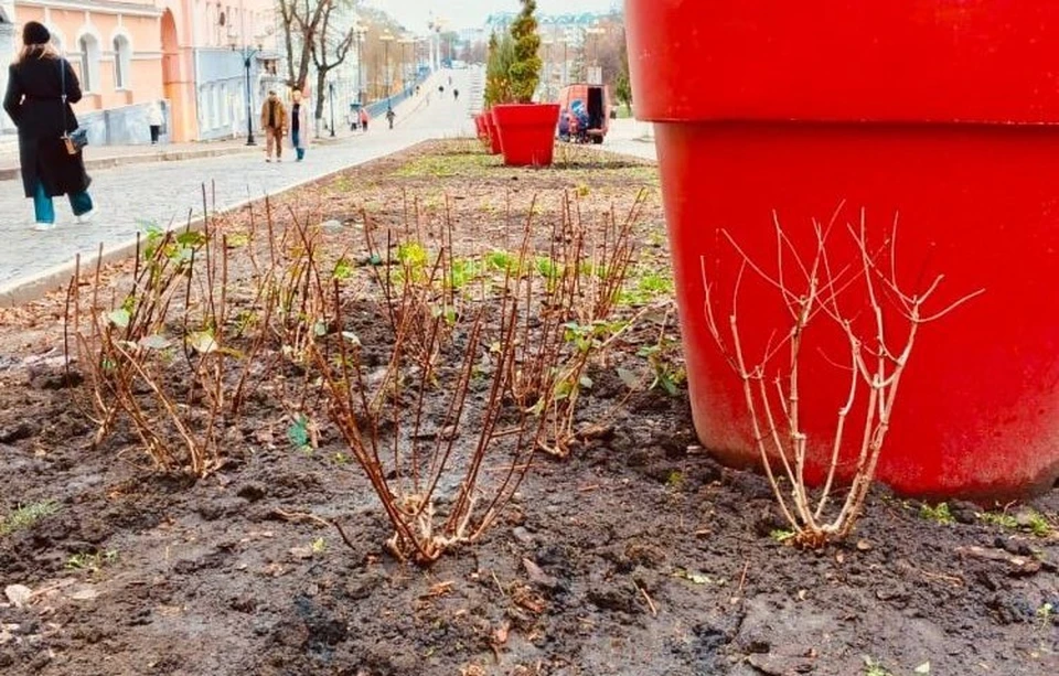 Фото: пресс-служба администрации Орла