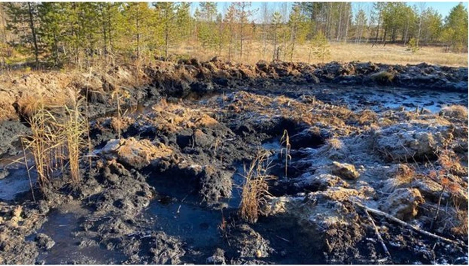 Фото: пресс-служба департамента охотничьего и рыбного хозяйства Томской области