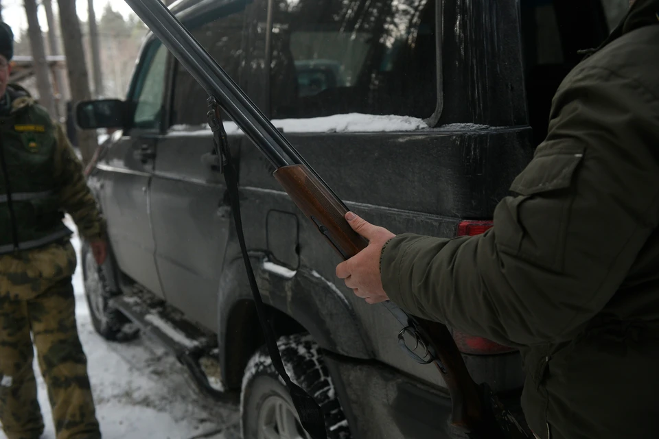 В Кузбассе задержали браконьеров. Фото использовано в иллюстративных целях.