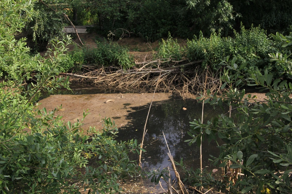 Жители кстовских деревень обеспокоены загрязнением местной реки.