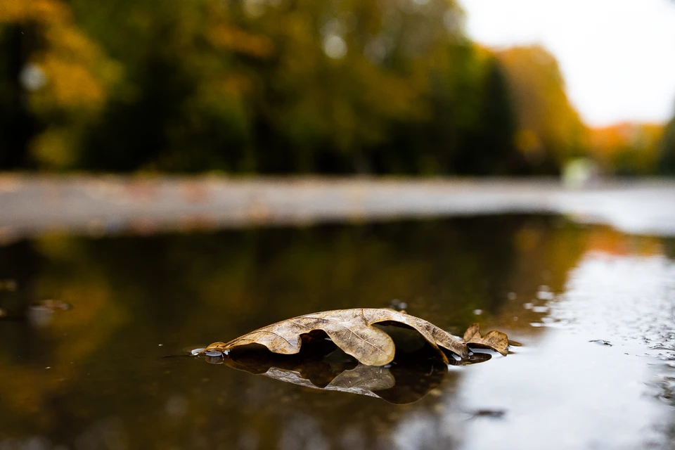 Осень продолжает проявлять себя во всей красе.