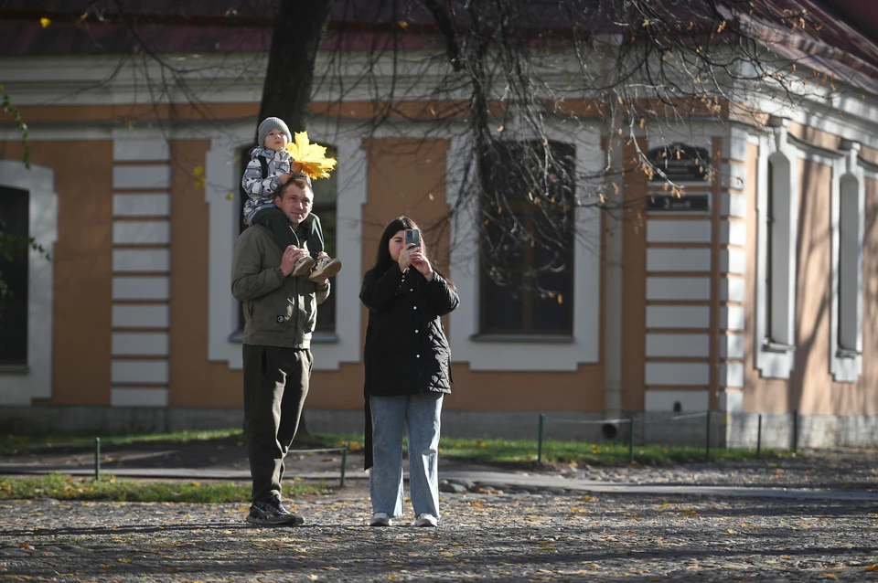 Свыше 1400 семей в Нижегородской области пользуются услугами социальной няни.