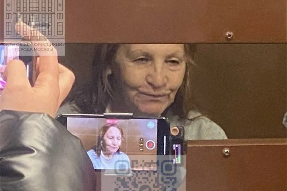 Московский суд арестовал пенсионерку, толкнувшую девочку на пути в метро. Фото: Telegram-канал Судов общей юрисдикции города Москвы