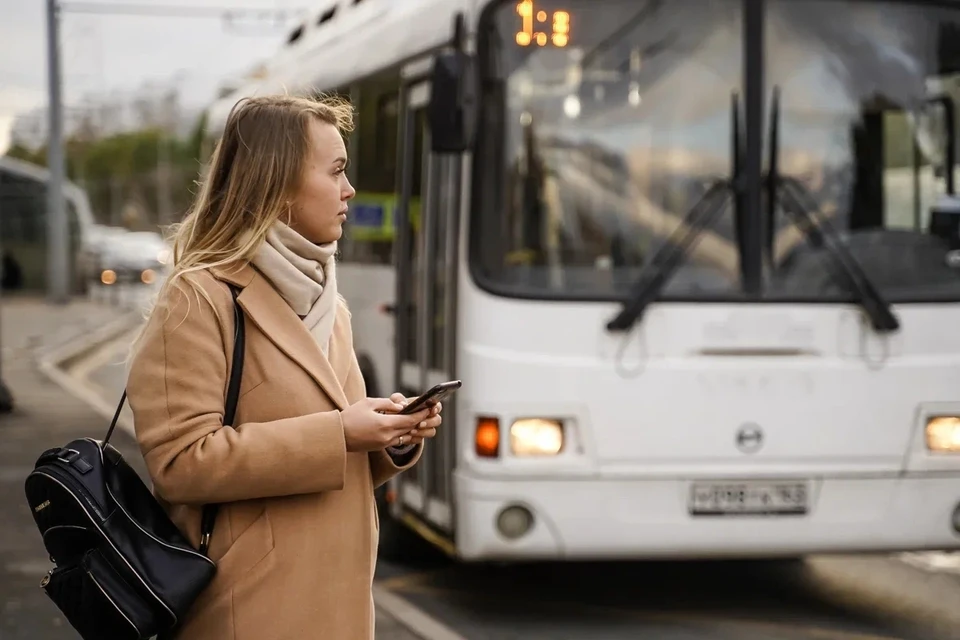 Движение транспорта скорректируют из-за перекрытия дорожного участка
