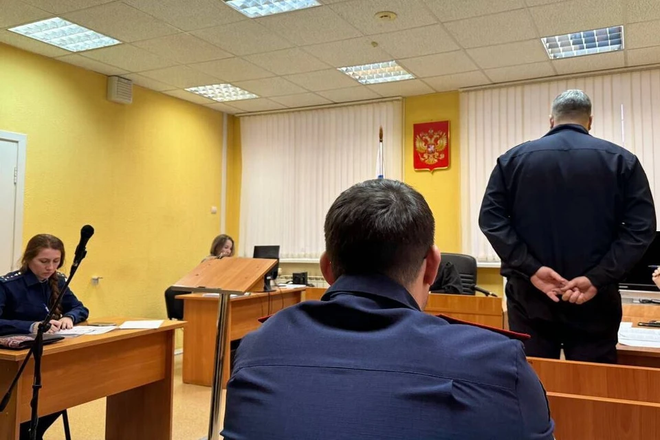 Подсудимый признал вину. Фото: объединенная пресс-служба судов Удмуртии