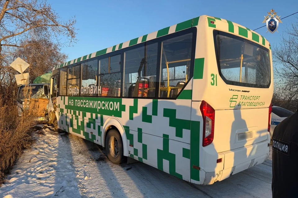 Место ДТП. Фото: СУ СК России по Амурской области