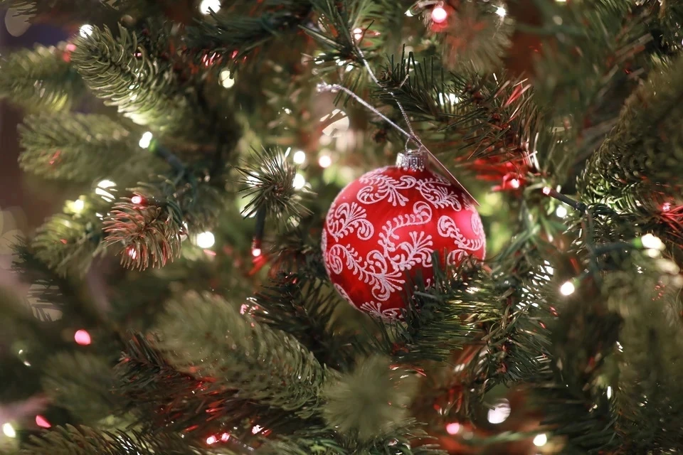 Выбрана главная новогодняя елка России