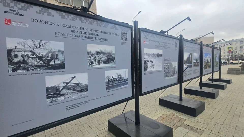 Фото: министерства культуры Воронежской области
