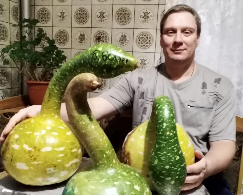 Юрий Довгопол удивил земляков экзотической «Лагенарией». Фото из личного архива героя публикации.