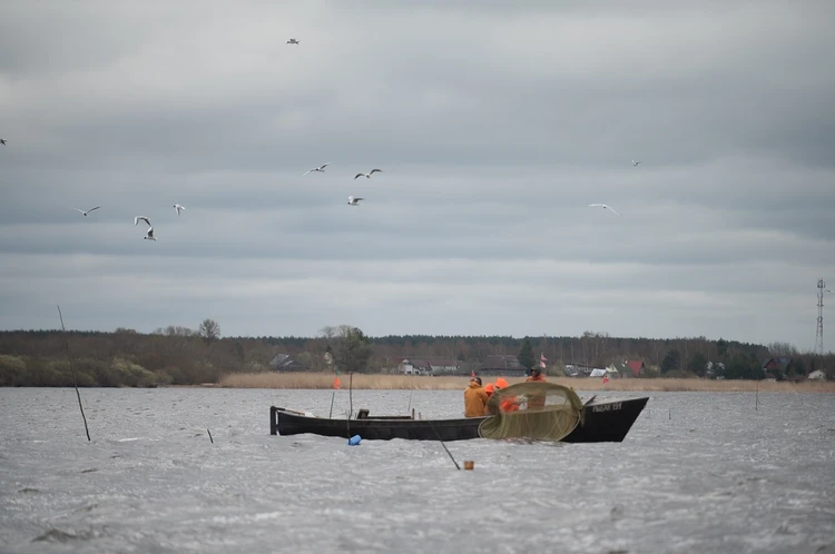 Возвращение царской рыбы: Ученый рассказал, почему восстановилась популяции стерляди в Дону