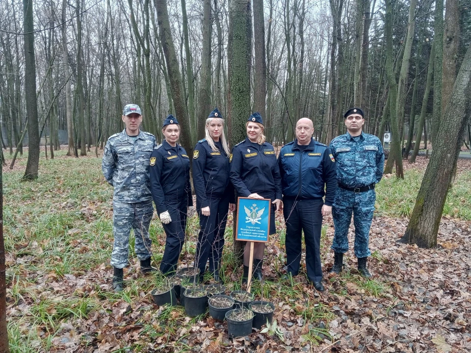 Ульяновские судебные приставы высадили саженцы ранеток в парке. ФОТО: тг-канал Управления культуры Ульяновска