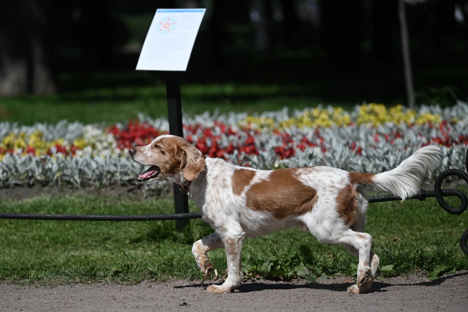 Мужчина подал 96 аналогичных исков.