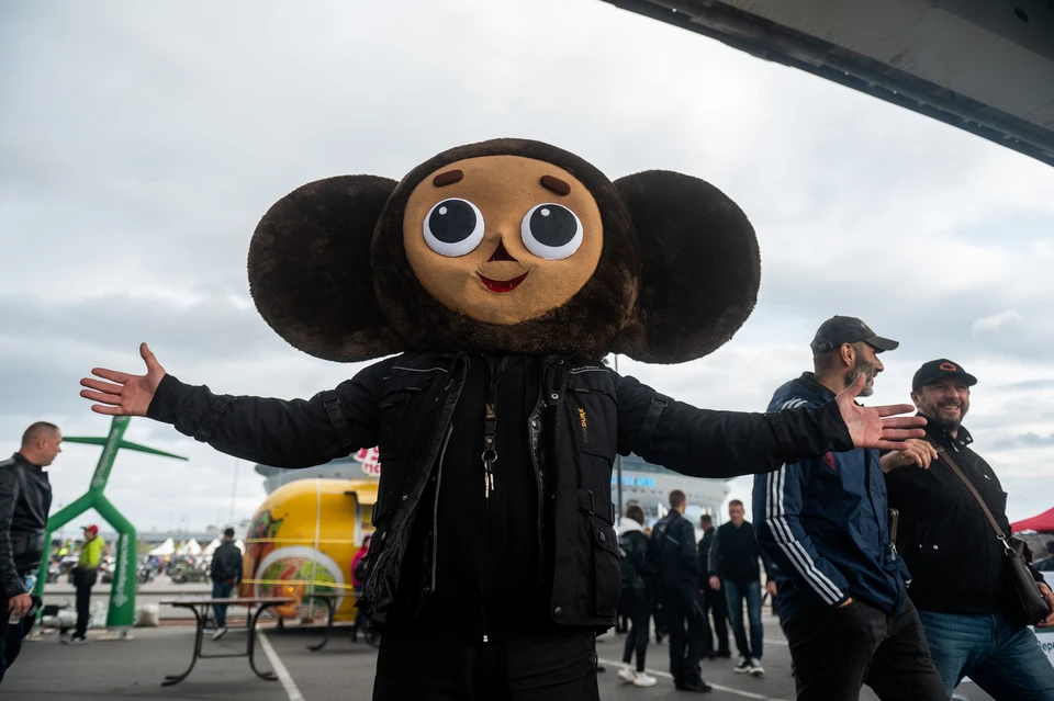 О происхождении Чебурашки спорили в Думе.