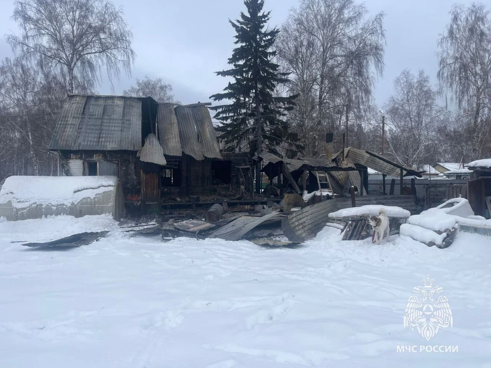 Фото: пресс-служба ГУ МЧС России по Томской области