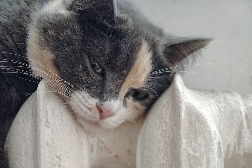 Теплоснабжение отключат в части домов в Иркутске 17 ноября.