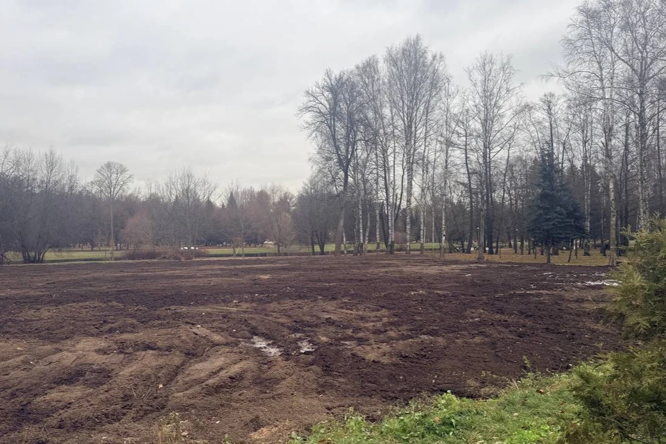 Работы велись четыре месяа. Фото: ККИ