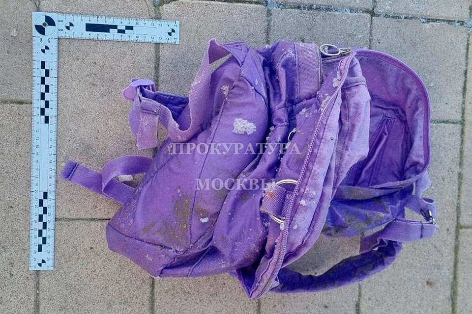 На южном берегу Гольяновского пруда нашли портфель, который был замотан в пакеты, а внутри лежала отрезанная голова мальчика. Фото: Прокуратура Москвы