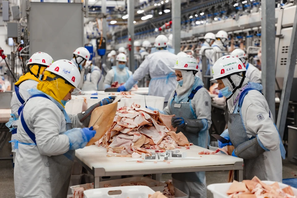 Фото: Дарья Прибыткова