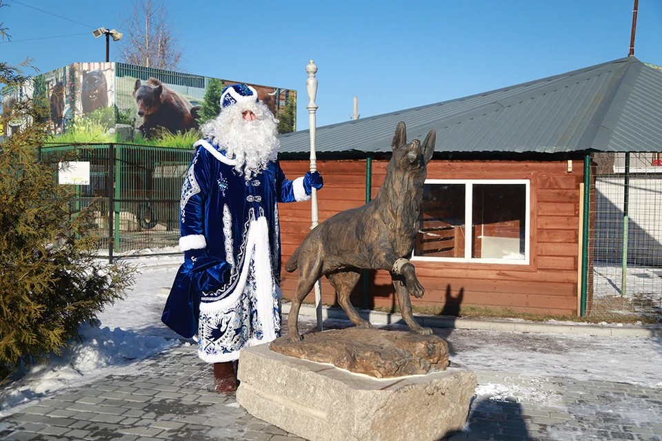 Дед Мороз отмечает день рождения в Барнаульском зоопарке