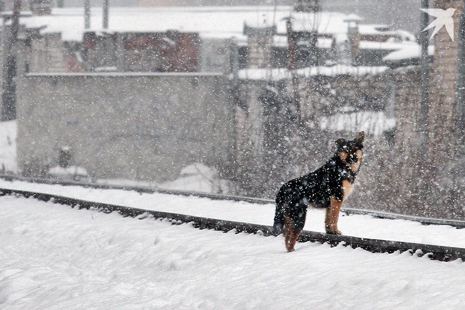Белгидромет вынес предупреждение из-за сильного снега в Беларуси 18 ноября. Фото используется в качестве иллюстрации: архив «КП».