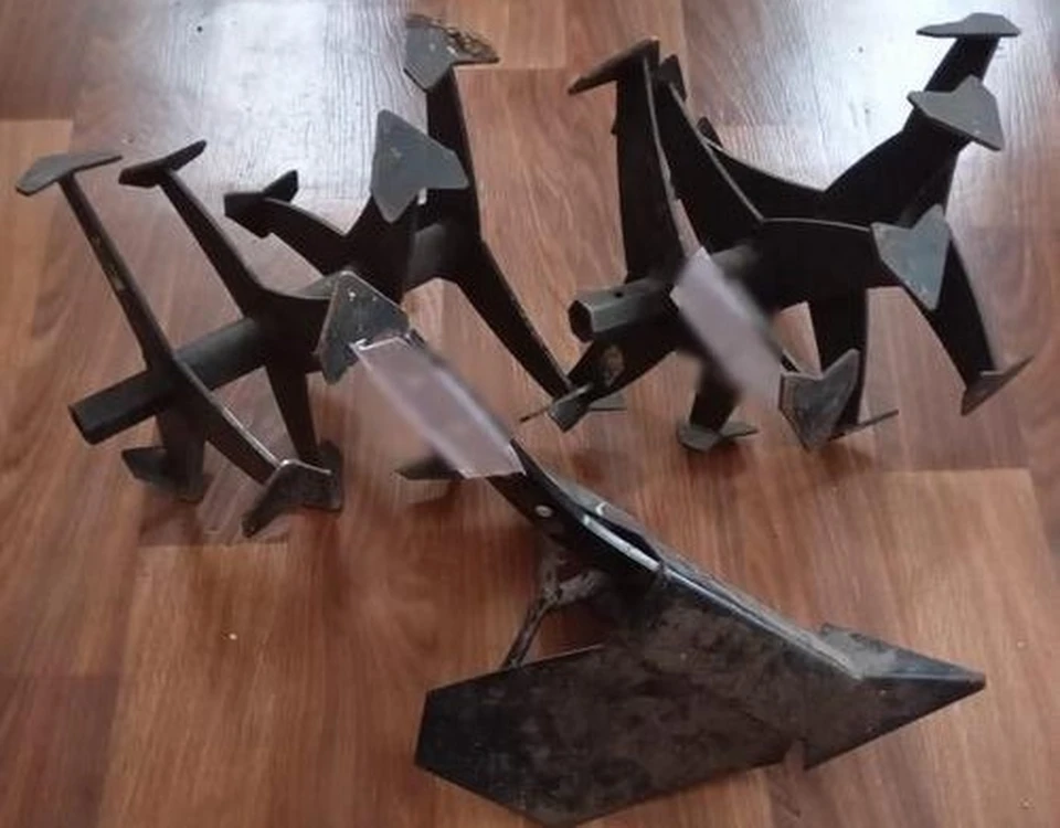 Ущерб потерпевшая оценила в шесть с половиной тысяч рублей. Фото УМВД России по Липецкой области.