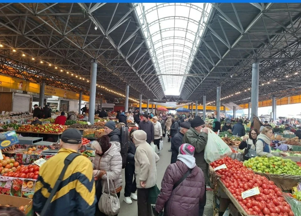 Мы давно забыли вкус настоящих молдавских помидоров. Фото: КП в Молдове