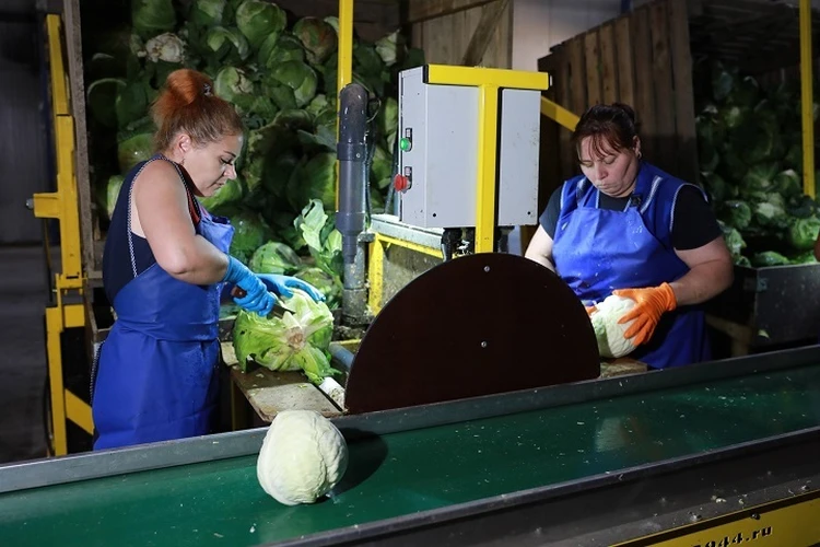 В Ярославской области третий агрегатор начал сотрудничество с торговыми сетями