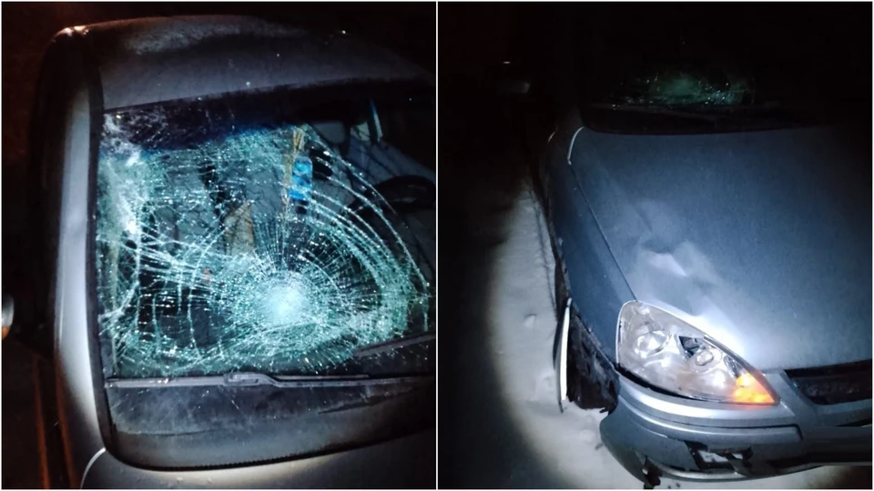 Фото: Госавтоинспекция Томской области