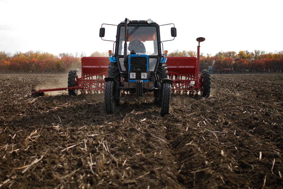 Посевная кампания озимых завершается в Минераловодском округе Ставрополья