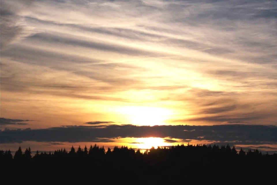 Над Ферзиковским округом сбили два вражеских беспилотника.