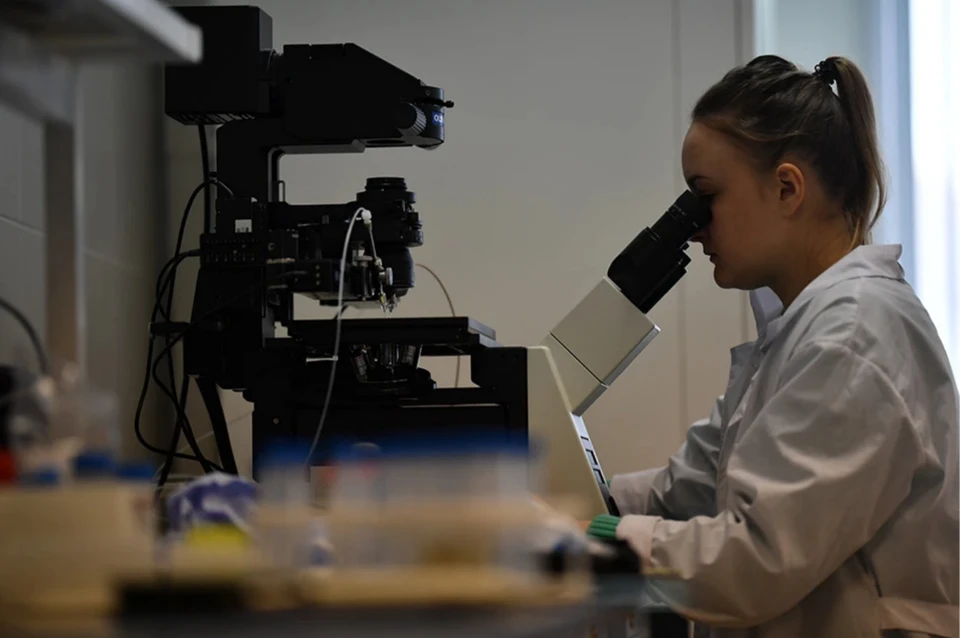 Наибольший прирост объема финансирования на Дальнем Востоке показали научно-техническая и инфраструктурная сферы, а также обрабатывающее производство