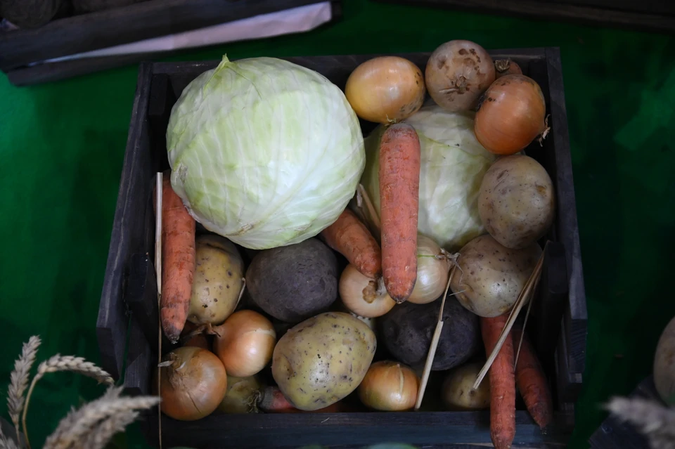 На Кубани подешевели основные овощи