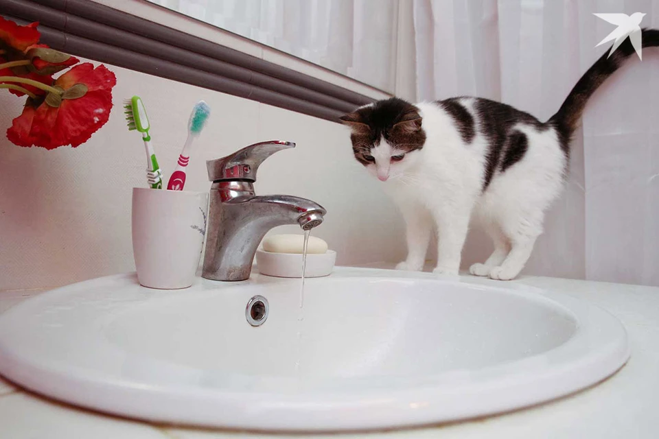 «Минскводоканал» сказал о повреждении водопровода в Минске и понижении давления. Фото используется в качестве иллюстрации: архив «КП».