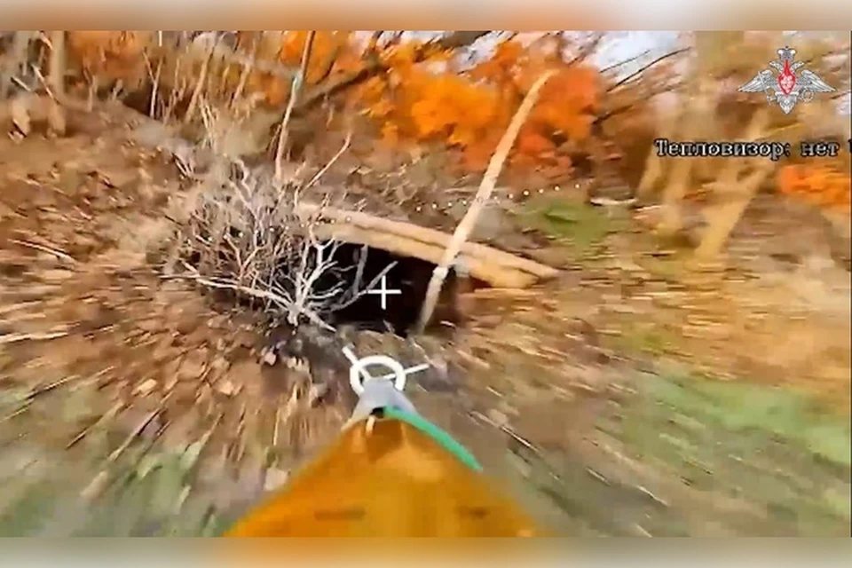 Дрон поражает укрытие ВСУ. Фото: минобороны РФ