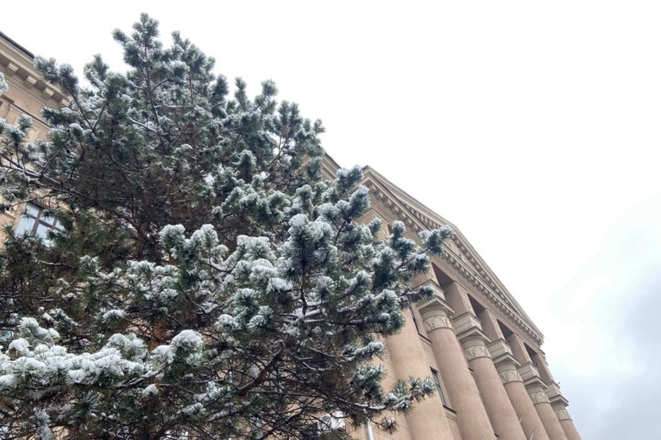 В Хабаровске 21 ноября будет без осадков