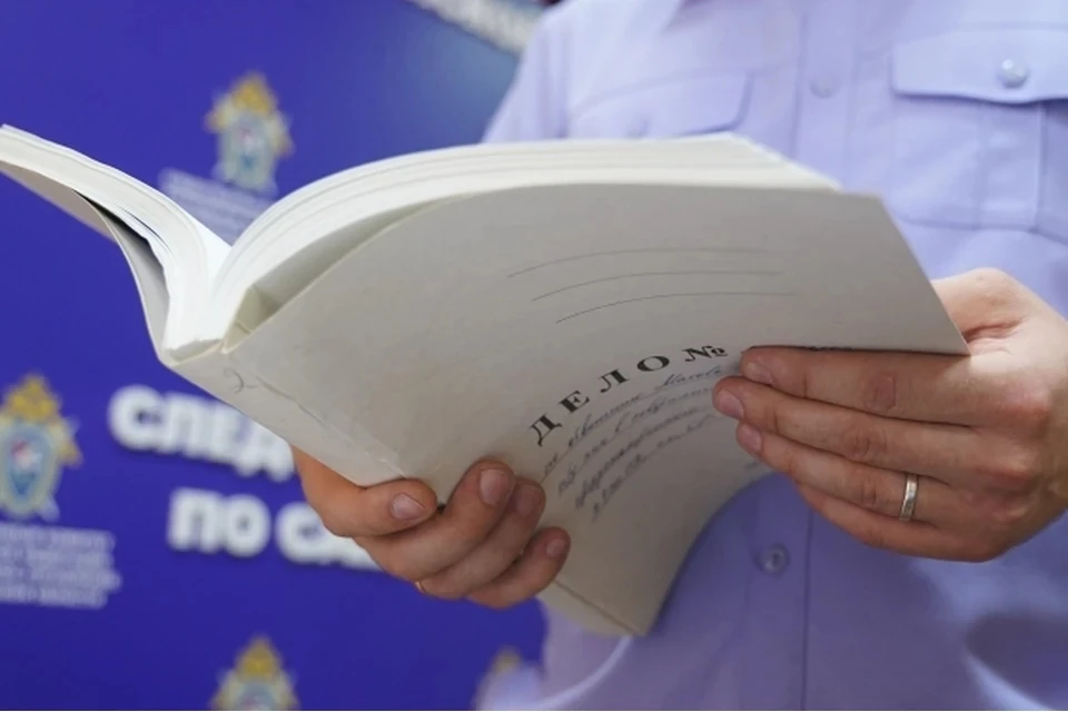 В Подмосковье раскрыли дело о серийном маньяке, насиловавшем и убивавшем нянь