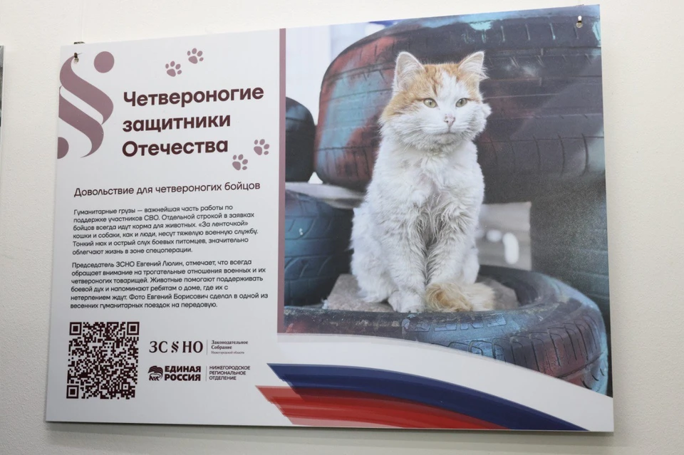 В нижегородском Заксобрании открылась выставка о животных-участниках СВО. Фото: Законодательное Собрание Нижегородской области