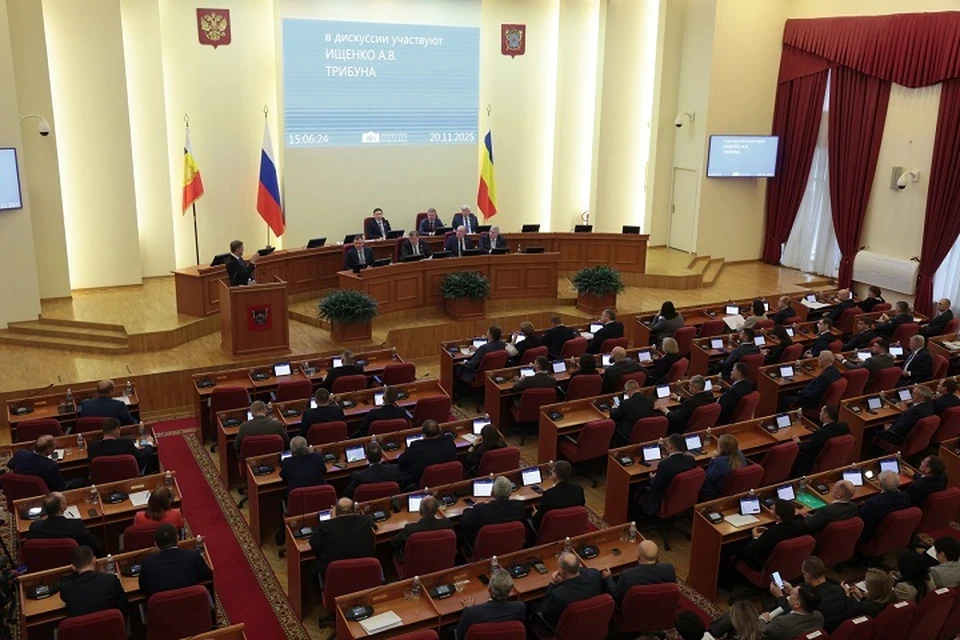 Законопроект поддержали в донском парламенте. Фото: сайт правительства Ростовской области