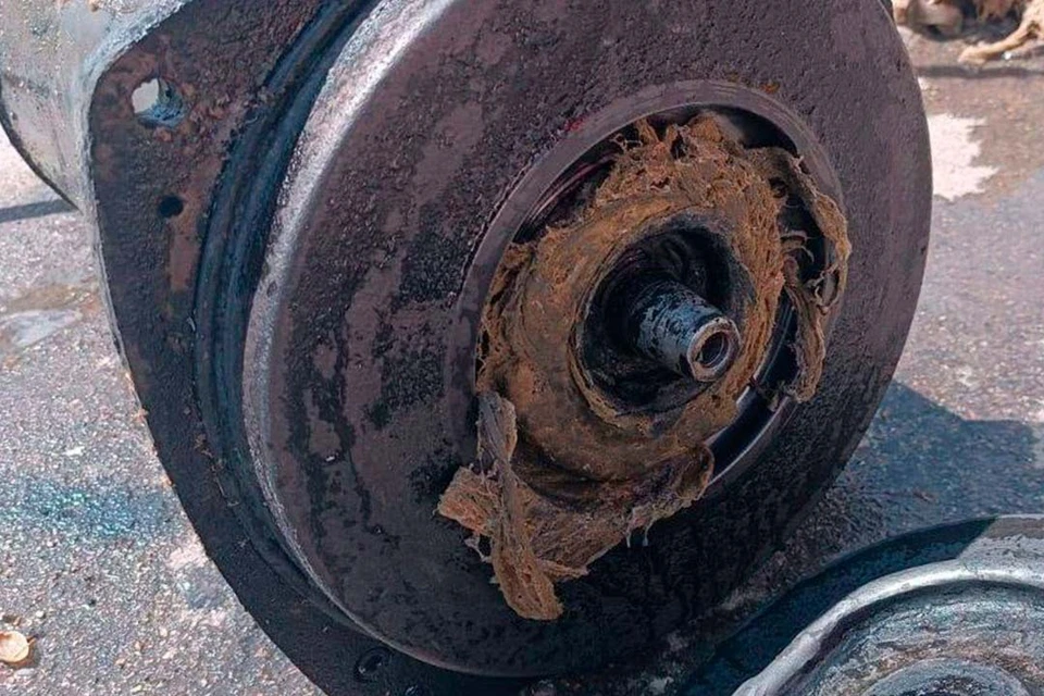 В разные годы специалисты находили в канализации детский матрас и Чебурашку. Фото: «Водоканал»