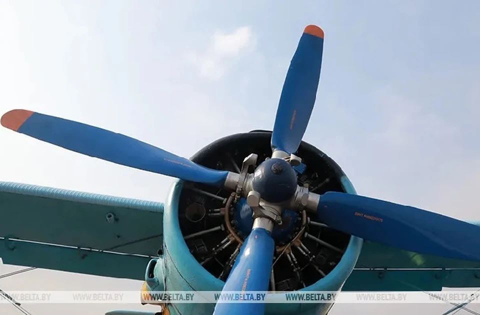 Легендарный «кукурузник» выставили на торги в Беларуси. Фото: архив БелТА.