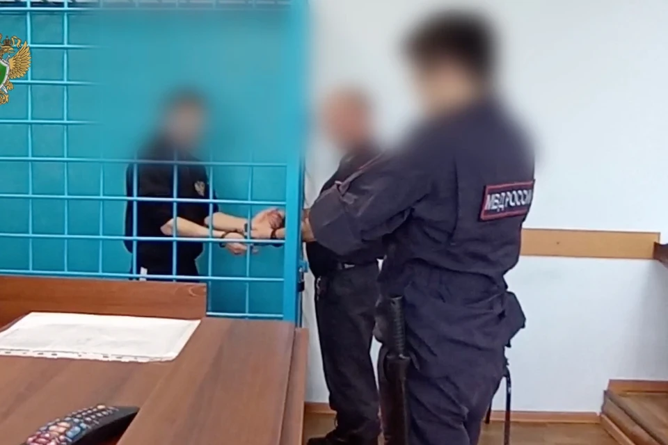 В Чите суд арестовал водителя, обвиняемого в ДТП с двумя погибшими пешеходами. Фото: Прокуратуры Забайкальского края.