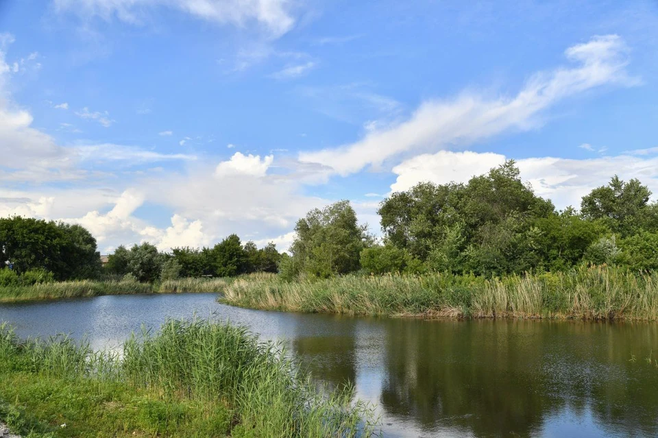 Фото: МинИнформ 64 Z