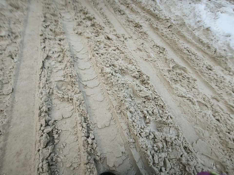 Фото: Анна Ковалева