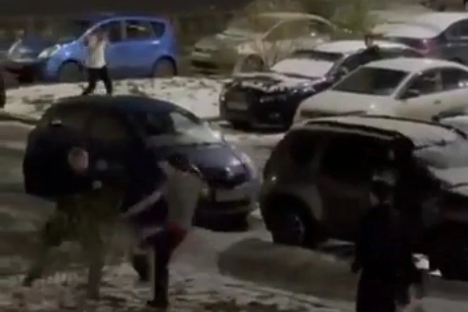 В Мурино возбуждено уголовное дело после драки с участием подростков. Фото: стоп-кадр с видео/соцсети